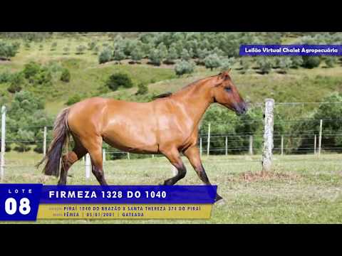 LOTE 08 - Firmeza 1328 do 1040