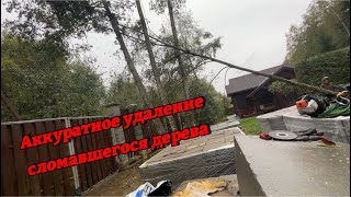 Арбористика‼️Аккуратно Снимаем Сломанное Дерево🌳,Зависшее Над Забором И Проводами