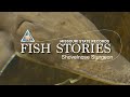 Missouri Record Fish Stories - Shovelnose Sturgeon and Green Sunfish