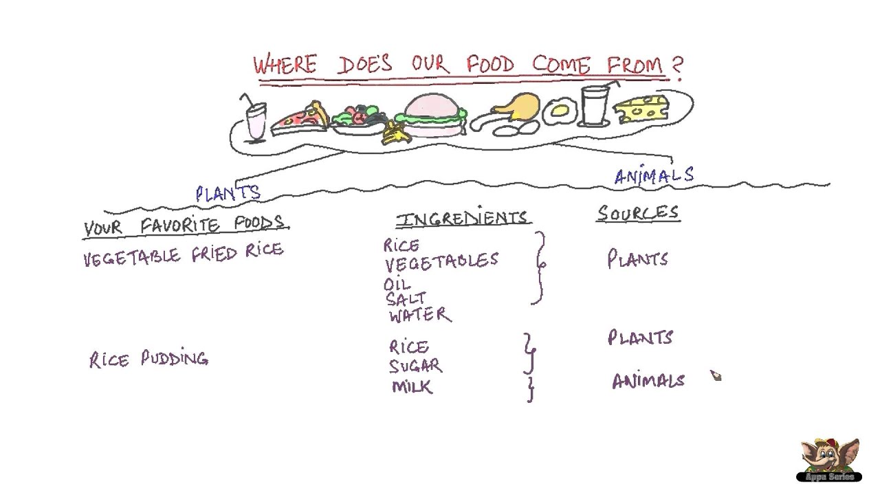 Where does our food come from?