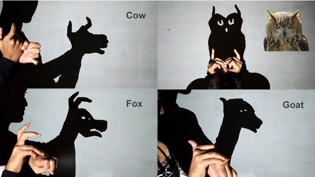 Guess The Hand Shadow Animal | Hand Shadow Puppets Show - YouTube