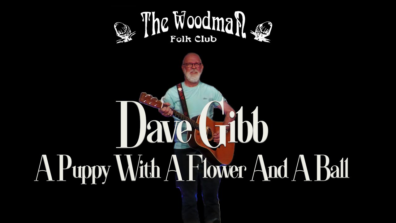 Dave Gibb : A Puppy With A Flower And A Ball (Live At The Woodman Folk Club)
