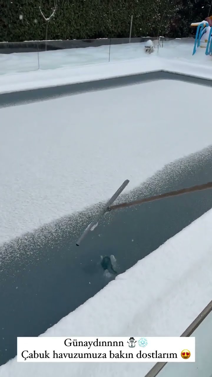 Günaydınnnn☃️❄️Çabuk havuzumuza bakın dostlarım ?