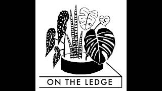 On The Ledge Episode 190: Jane's five rules for houseplant care, plus the lowdown on aphids