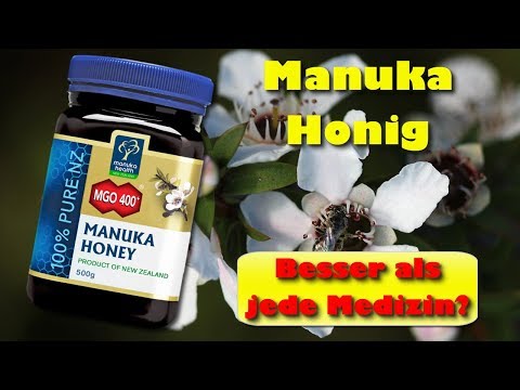 Manuka Honig – besser als jede Medizin? Wie Manuka Honig eine gute Gesundheit fördert