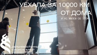 видео: переехала за 10.000 км от дома и не жалею об этом | первая неделя в двфу картинка: переехала за 10.000 км от дома и не жалею об этом | первая неделя в двфу