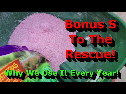 Video: Kan jag använda scotts bonus s på bermudagräs?