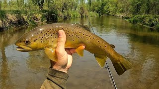 Wisconsin Trout Fishing - 5/14/2024