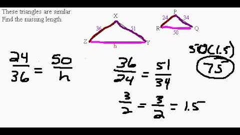 Solving Similar Triangles and Proportions