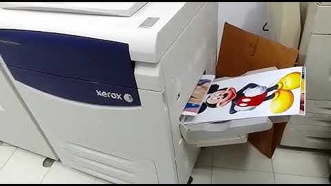 Digital Printing Machine 13x19   Running in Farhan Printers