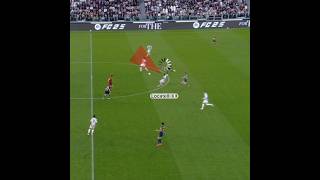 Locatellis Magic Vision