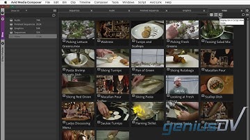 Avid Media Composer Bin Containers 2019.X