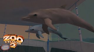 Bottlenose Dolphin Gameplay Zoo Tycoon 2 Marine Mania