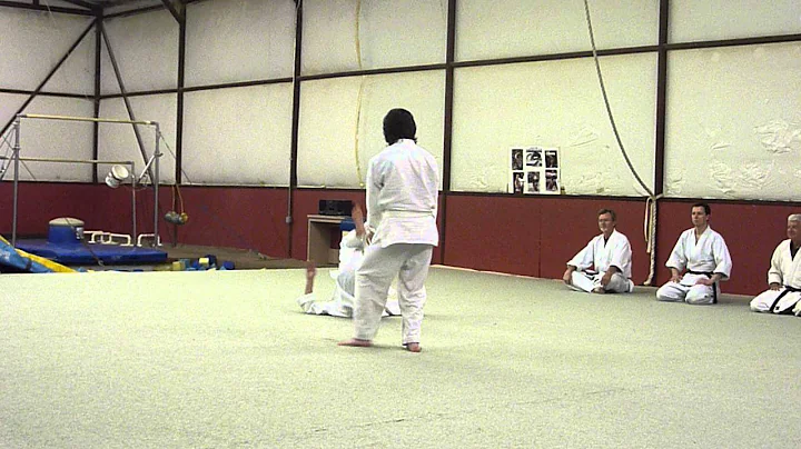 aikidotestvids 001