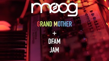 Mountain ( DFAM + GRANDMOTHER + VALHALLA REVERB + VALHALLA SHIMMER )