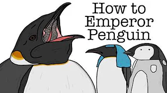 Your Life as an Emperor Penguin