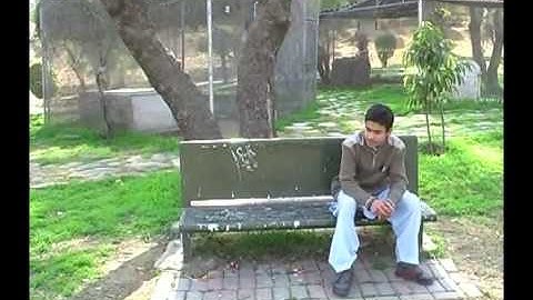 After Effects  - How to do QuickSilver/ Flash Effect