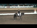 Jaybee Anzac &amp; Nicole Magoffin - FEI CDI Grand Prix Freestyle - Evening of Musical Freestyles 2010