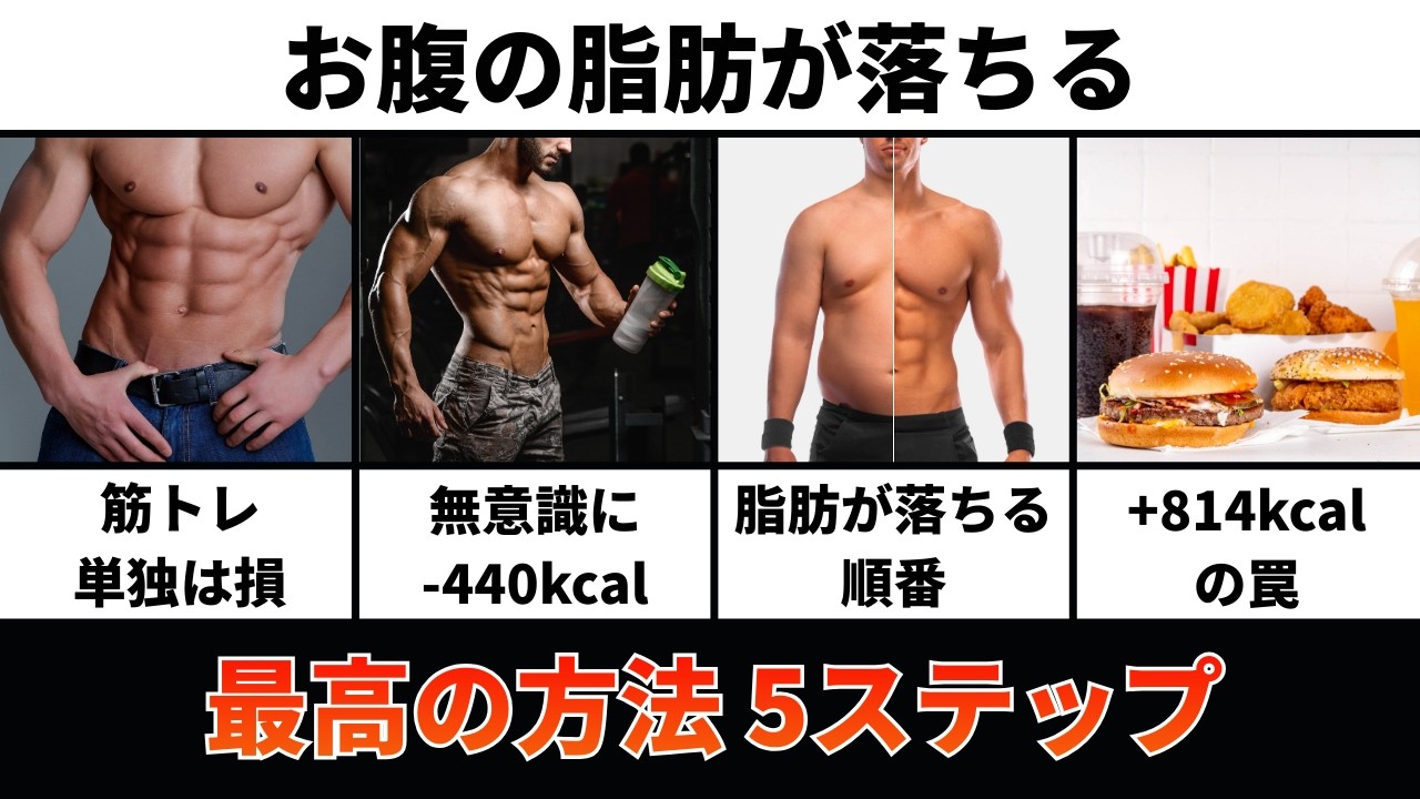 【2026年最新版】落ちにくいお腹の脂肪を落とす方法5ステップ【脂肪が落ちる順番も解説】