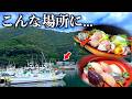 【大分ひとり旅】佐伯の海鮮が想像を超えた…1800円舟盛り定食と地魚づくしの名物民宿が素晴らしすぎる