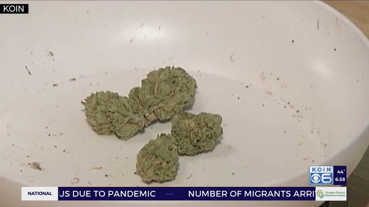 Marijuana industry remains inequitable in Oregon