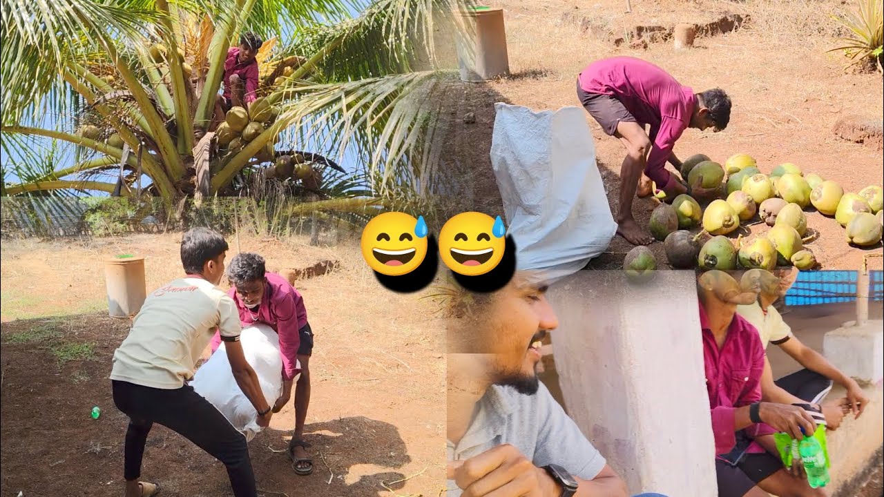 नारळाचा पाऊस 😅😁 || marathi vlog ❤️ || Suraj Bhanse Vlogs ❤️ || 