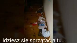 Memy z aplikacj besty i nie tylko