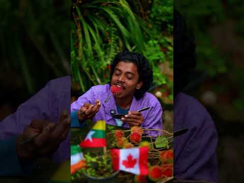 which country ? Myanmar India Switzerland
