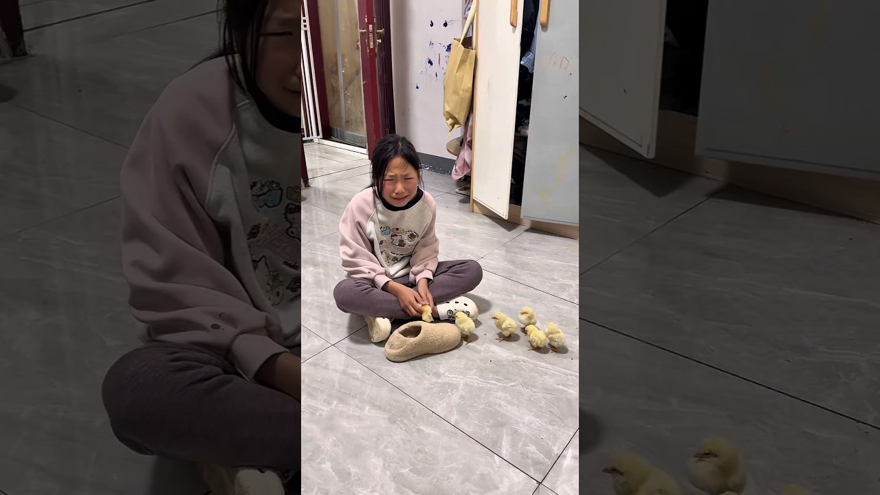 Mom Accidentally Stepped on Her Chick. She Couldn't Stop Crying