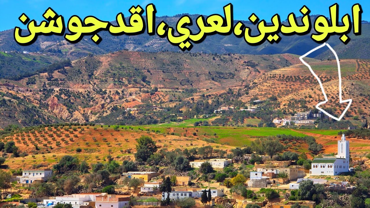 يا سلام على جمال جبال الريف الشامخة..أجواء ربيعية بعد أمطار الخير بـ تمسمان إقليم الدريوش