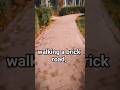 ইটের রাস্তা দিয়ে হাঁটার দৃশ্য। #road #viralreels #reel #reels #vlog #park #viral #tranding #foryou