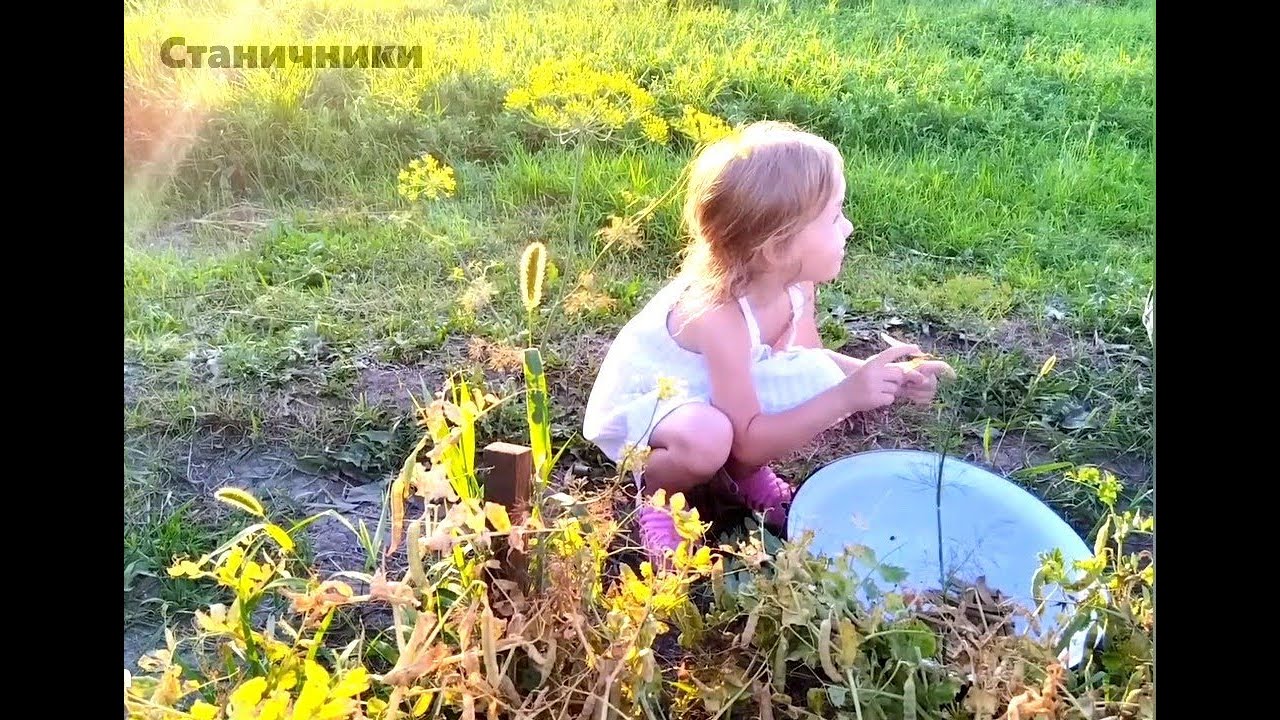 Каневской сборный дом видео