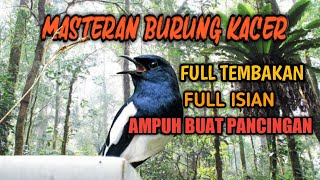 Masteran BURUNG KACER Gacor Full Isian Full Tembakan || Radja Kicau