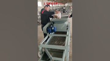 Apricot Kernel Cracking and Shelling Machine, for Afghan Customer