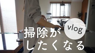 シンプルライフ/掃除がしたくなるvlog/掃除がはかどるBGMでやる気がup/シンプルな暮らし