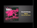 Paul van Dyk Remix of 36 GRAD by 2RaumWohnung