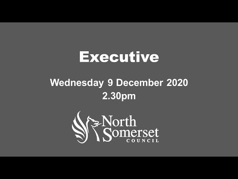 Executive Wednesday 9 December 2020 2.30pm