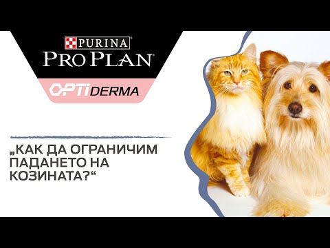 Видео: Как да се грижим за козината на вашата котка
