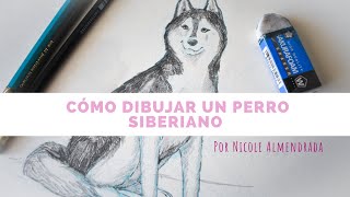 Como Dibujar Un Perro Husky En 3 Estilos Diferentes Nicole Almendrada