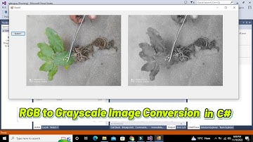 how to convert an RGB image to black and white in c# | RGB to gray scale  image conversion in c#