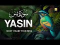 Worlds most beautiful quran recitation of surah yasin yaseen    zikrullah tv