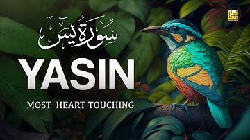 World's most beautiful Quran recitation of Surah Yasin (Yaseen) سورة يس | Zikrullah TV