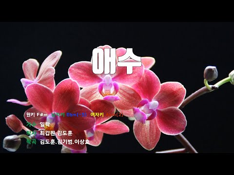 [은성 반주기] 애수 - 일락