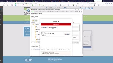DNN 9 - Inserting an Image