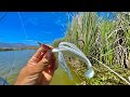 Esta Laguna está LLENA de Lobina Grande! | Increíble Pesca en Kayak!