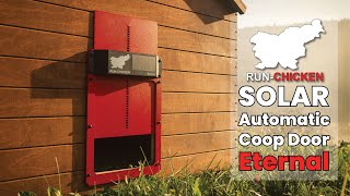 SOLAR Run-Chicken Automatic Coop Door Eternal - All in One Solar Powered Automatic Chicken Coop Door
