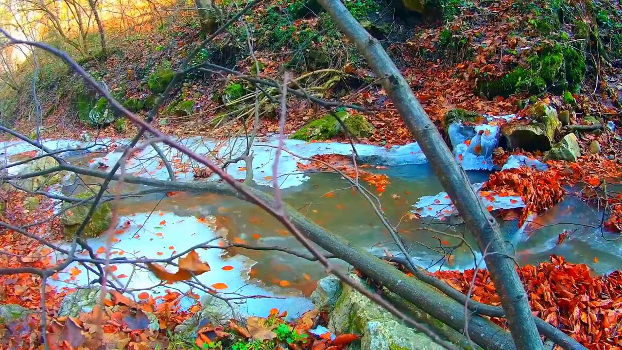 Успокаивающий Замороженный лес Ручей (Осень). Расслабляющий вода Звуки. (10 часов). Белый шум.