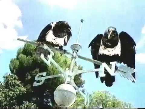 windex talking crows commercial 1999 youtube