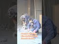 Product Polishing Fine Craftsmanship Smooth Surface Premium ductile iron pipe fittings with strict p