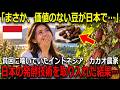 【海外の反応】極貧国インドネシアで「クズ豆」と嘲笑されたカカオが実は…至高の宝へ変えた日本の発酵技術と奇跡の逆転劇
